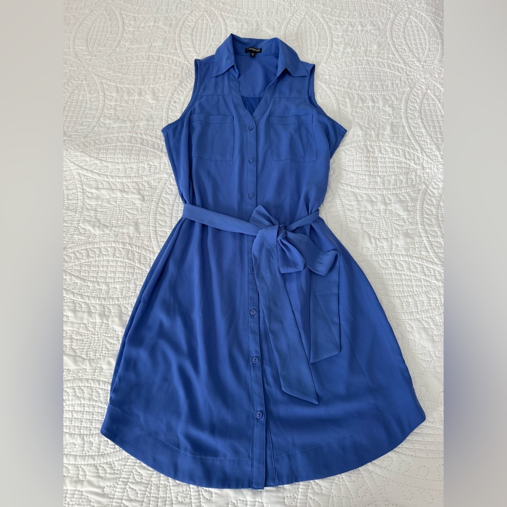 Express Sleeveless Blue Shirt Dress
